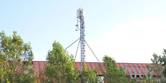 No se instalarán las nuevas antenas de telefonía móvil en el Zoco ni en Supercor
