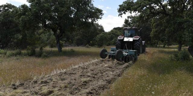 Los cortafuegos del monte de Boadilla se ponen a punto de cara al verano Los cortafuegos del monte de Boadilla se ponen a punto de cara al verano