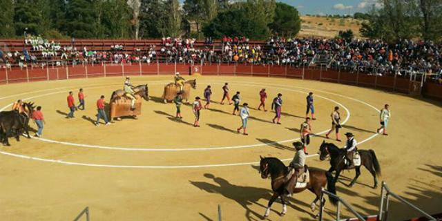Domingo en las fiestas de Boadilla: Actividades para todos los gustos Domingo en las fiestas de Boadilla: Actividades para todos los gustos