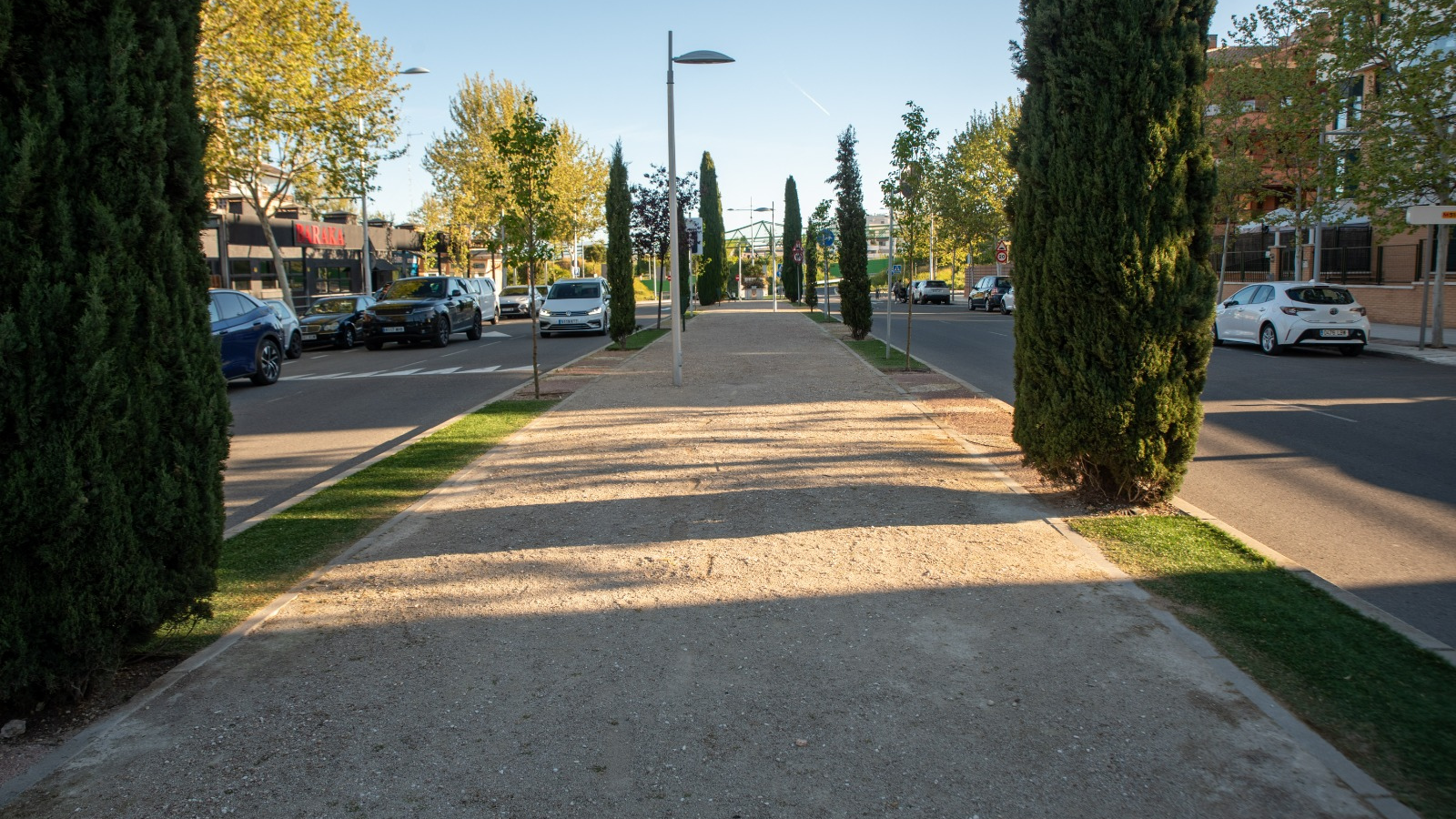 Boadilla impulsa su masa arbórea con más de 4.600 nuevos ejemplares desde 2021 Boadilla impulsa su masa arbórea con más de 4.600 nuevos ejemplares desde 2021
