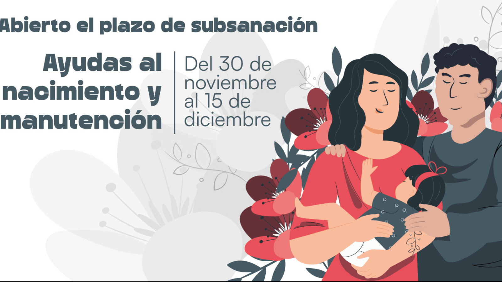 Abierto el plazo de subsanación de errores en las solicitudes de las ayudas por nacimiento y manutención