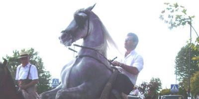 Este sábado se celebra la VIII Fiesta del Caballo de Boadilla del Monte Este sábado se celebra la VIII Fiesta del Caballo de Boadilla del Monte