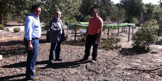 80 perdices nuevas enriquecen la biodiversidad del Monte de Boadilla 80 perdices nuevas enriquecen la biodiversidad del Monte de Boadilla