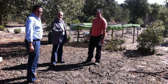 80 perdices nuevas enriquecen la biodiversidad del Monte de Boadilla