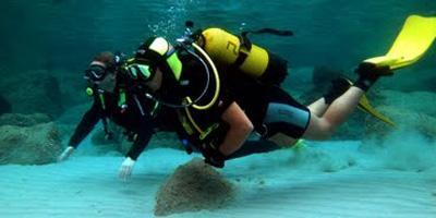 Cursos de buceo en Boadilla