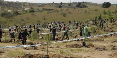 500 escolares celebran el día del árbol plantando un pino