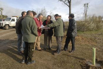 La reforestación del Parque del Guadarrama avanza a buen ritmo