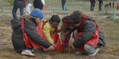 Boadilla del Monte participa en el 'Día de la Reforestación'