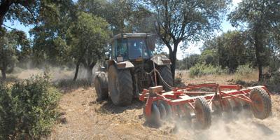 Boadilla protege el Monte Público ante posibles incendios Boadilla protege el Monte Público ante posibles incendios