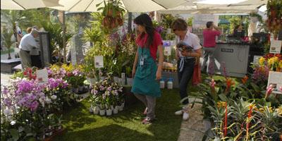 100531_botanicainsolita.jpg 100531_botanicainsolita.jpg