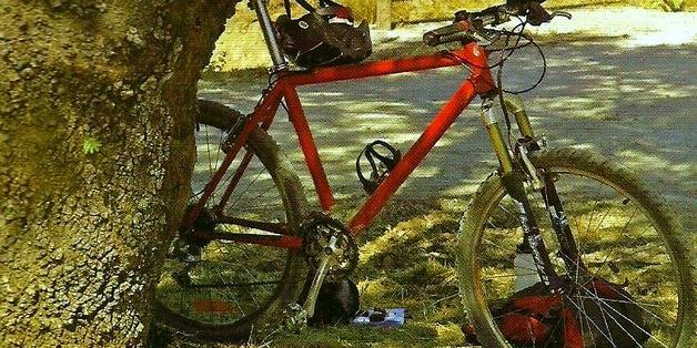 Día de la Bicicleta en Boadilla Día de la Bicicleta en Boadilla