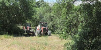 El Ayuntamiento pone en marcha la campaña anual de prevención de incendios El Ayuntamiento pone en marcha la campaña anual de prevención de incendios