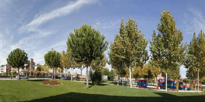 El Ayuntamiento propone homenajear a las víctimas del terrorismo con un parque conmemorativo