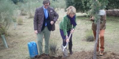 Boadilla del Monte se beneficia del Plan de Repoblaciones de la Comunidad de Madrid