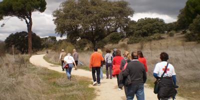 Los mayores, de excursión por Boadilla Los mayores, de excursión por Boadilla