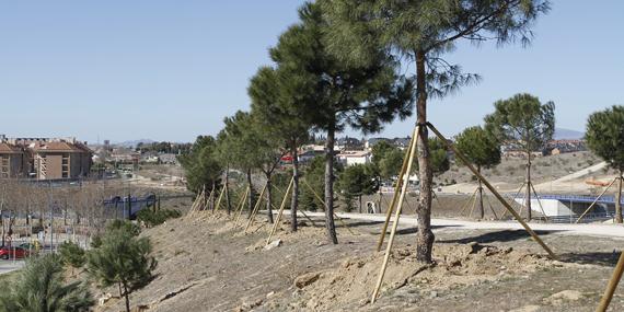 El Ayuntamiento de Boadilla niega que la zona de Isabel II se encuentre en mal estado El Ayuntamiento de Boadilla niega que la zona de Isabel II se encuentre en mal estado