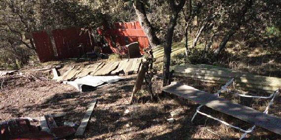 APB denuncia que el “abandono” del Monte Norte puede provocar incendios APB denuncia que el “abandono” del Monte Norte puede provocar incendios