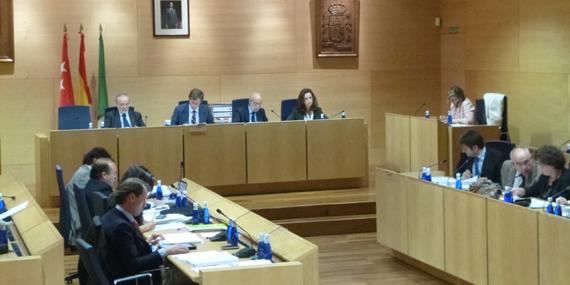 La paga de Navidad de los concejales irá destinada al programa de emergencia social La paga de Navidad de los concejales irá destinada al programa de emergencia social