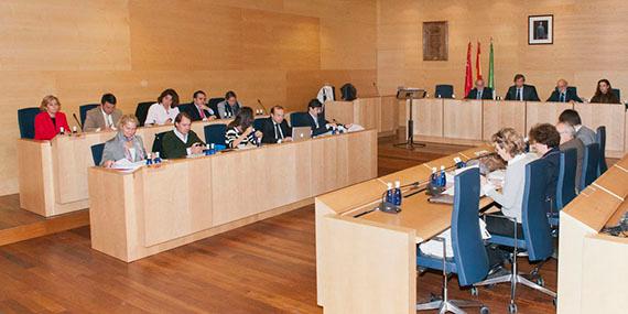 Boadilla aprueba unos presupuestos marcados por la austeridad y la inversión social Boadilla aprueba unos presupuestos marcados por la austeridad y la inversión social