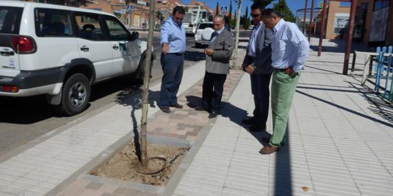 Nuevos alcorques en la avenida Isabel de Farnesio Nuevos alcorques en la avenida Isabel de Farnesio