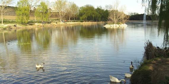Vuelve el concurso de pesca de Boadilla del Monte Vuelve el concurso de pesca de Boadilla del Monte
