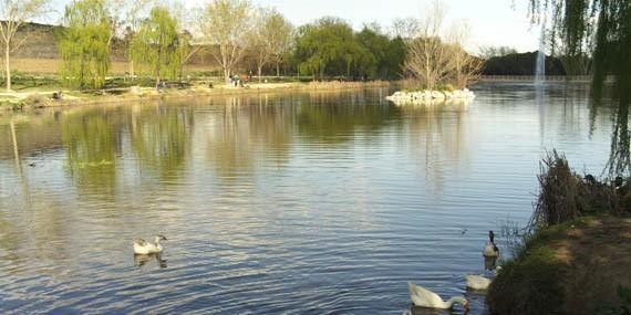 Vuelve el concurso de pesca de Boadilla del Monte