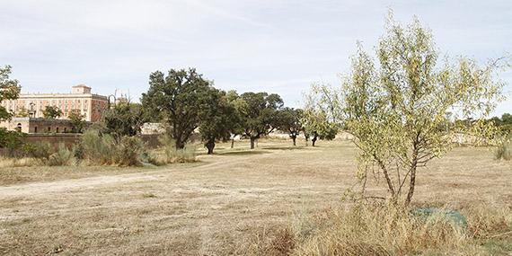 La finca del Nacedero será reforestada La finca del Nacedero será reforestada
