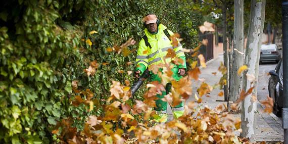 Boadilla limpia las calles de las hojas caídas de los árboles