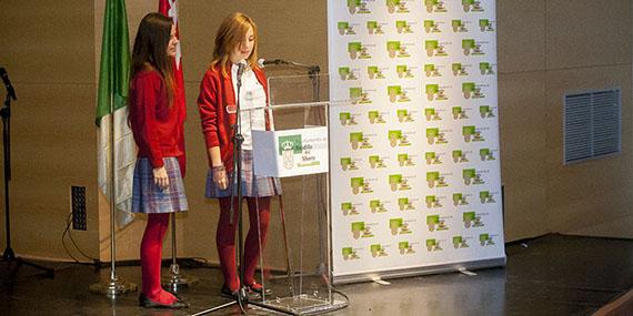 131211 constitucion espanola 2
