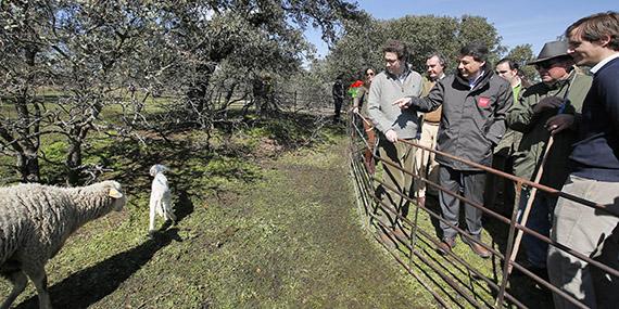 Terol e Ignacio González participan en la reforestación de la finca La Milagrosa