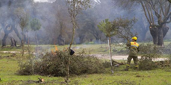 Boadilla y la prevención de incendios forestales Boadilla y la prevención de incendios forestales