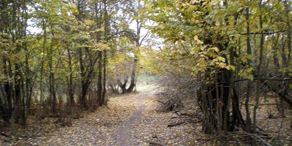 Aumenta la tensión por los caminos de Romanillos Aumenta la tensión por los caminos de Romanillos