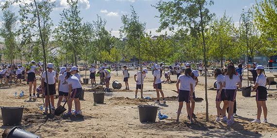 Boadilla celebra el Día del Árbol con la plantación de 200 ejemplares