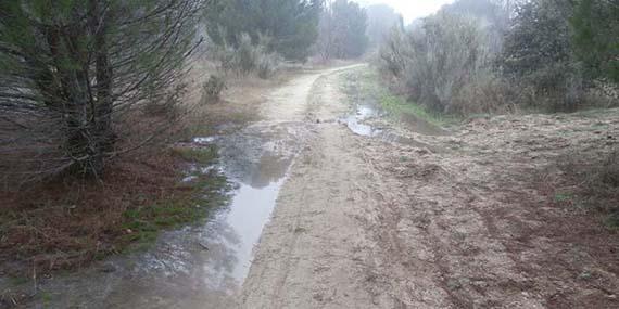 APB denuncia "vertidos de aguas fecales" en Montealina APB denuncia "vertidos de aguas fecales" en Montealina