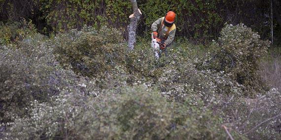 El retén de la Comunidad repasa el cortafuegos de Montepríncipe