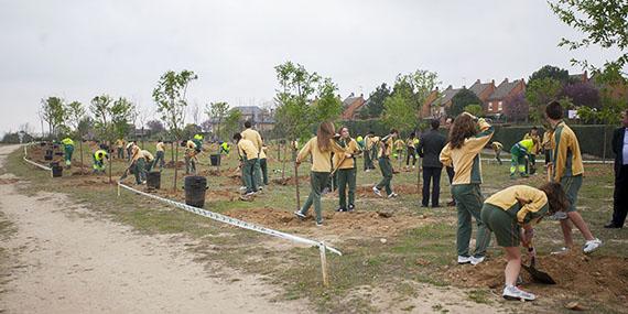 Alumnos del Quercus reforestan una zona de Valdepastores Alumnos del Quercus reforestan una zona de Valdepastores