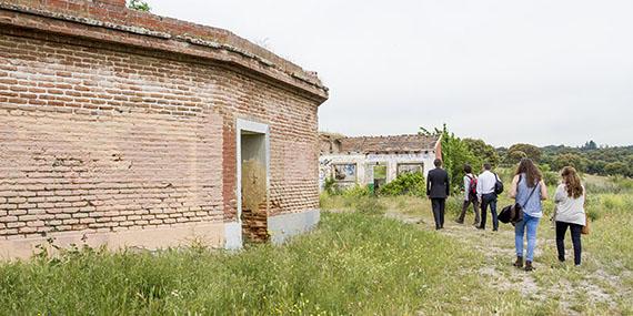 Visita oficial al 'Gallinero' del Palacio