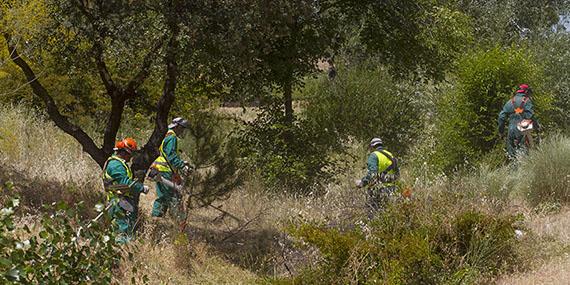 La importancia del desbroce de parcelas para prevenir incendios