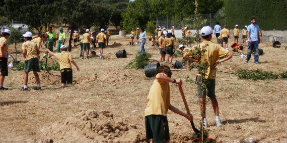 140604 dia arbol boadilla1