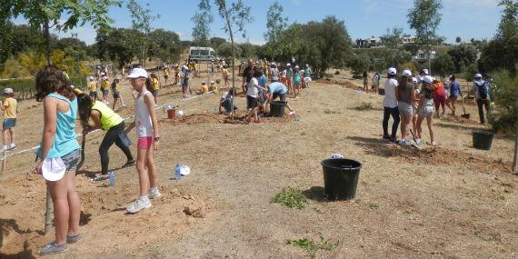 140604 dia arbol boadilla4