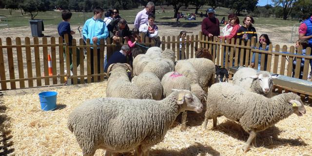 Éxito de participación en la II jornada de Naturaleza en Familia Éxito de participación en la II jornada de Naturaleza en Familia