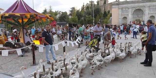 Gran participación en el Mercado Medieval de Boadilla