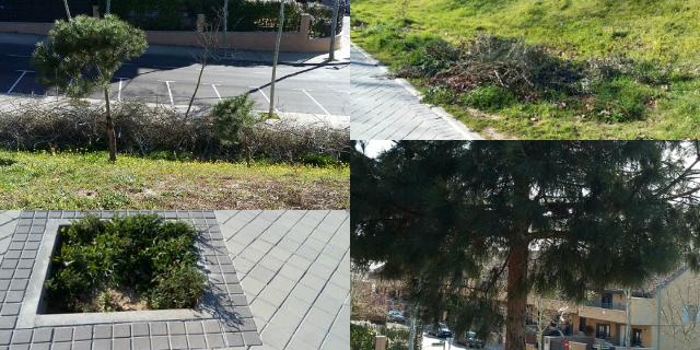 160303-parque-calle-goya-boadilla