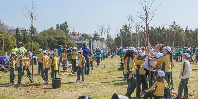 Más de 600 escolares plantan casi 200 árboles en Olivar de Mirabal