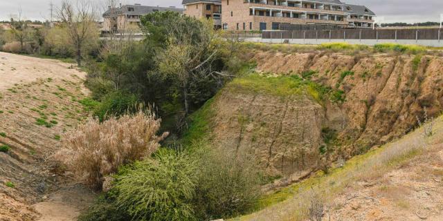 El Ayuntamiento llevará a cabo la limpieza de los cauces de tres arroyos El Ayuntamiento llevará a cabo la limpieza de los cauces de tres arroyos