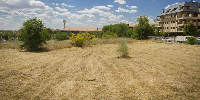 Comienza la época de desbroce y limpieza de parcelas para evitar incendios