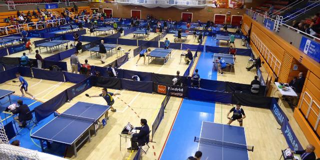 El Boadilla Tenis de Mesa logra la clasificación para el campenato de España El Boadilla Tenis de Mesa logra la clasificación para el campenato de España