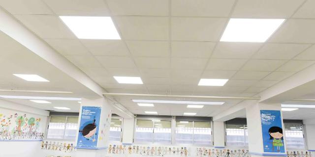 Los colegios José Bergamín y Príncipe Felipe renuevan las luminarias Los colegios José Bergamín y Príncipe Felipe renuevan las luminarias