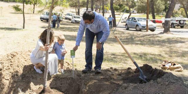 Lo bebés de Boadilla que nacieron en 2016 podrán tener un árbol en su honor Lo bebés de Boadilla que nacieron en 2016 podrán tener un árbol en su honor