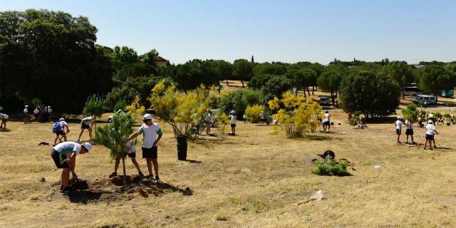 Cerca de 300 escolares colaboran en la forestación de Las Lomas